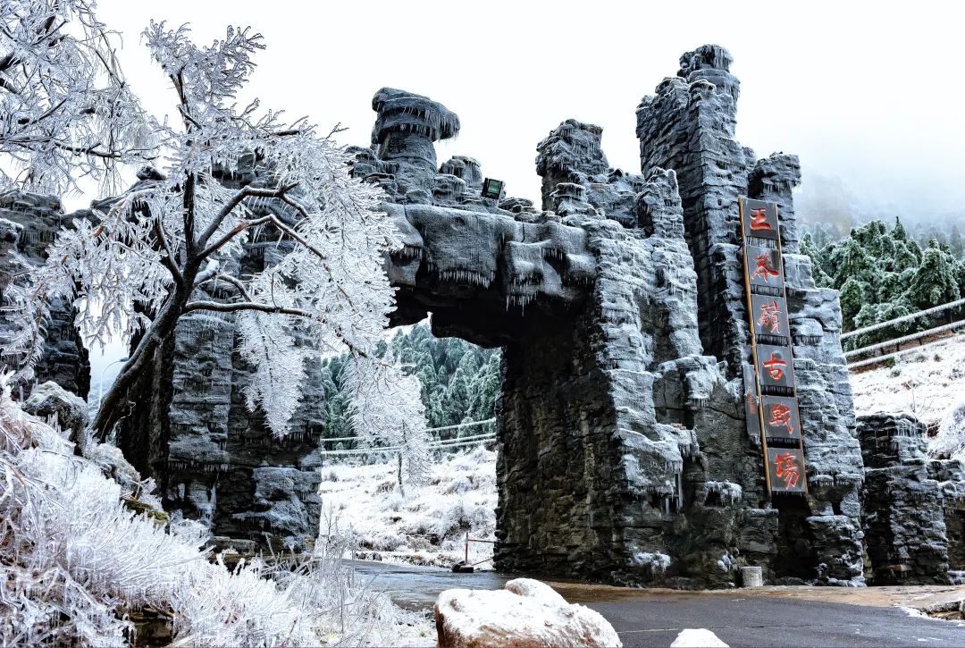 王莽岭雪景图片